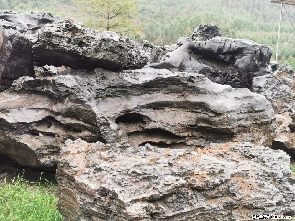风景石、假山石大量有货，有需要的欢迎联系 - 新手上路 - 荷泽生活社区 - 荷泽28生活网 heze.28life.net