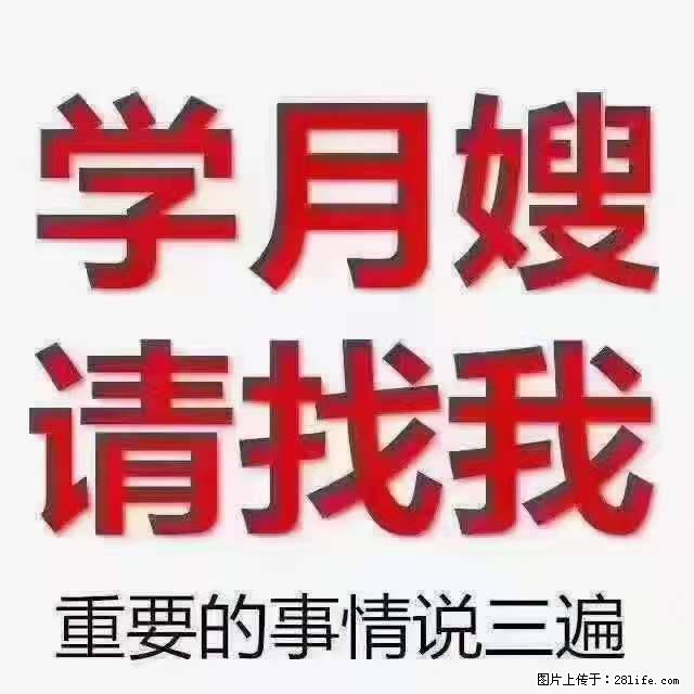 为什么要学习月嫂，育婴师？ - 新手上路 - 荷泽生活社区 - 荷泽28生活网 heze.28life.net