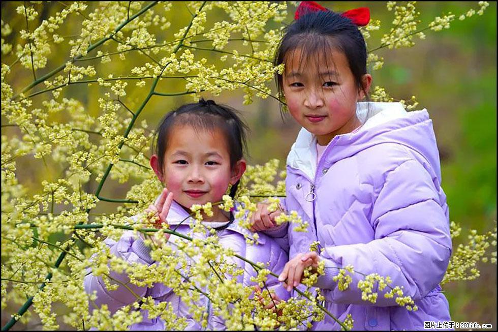 【春天，广西桂林灌阳县向您发出邀请！】米珠山前有片山苍子花在飘香 - 游山玩水 - 荷泽生活社区 - 荷泽28生活网 heze.28life.net