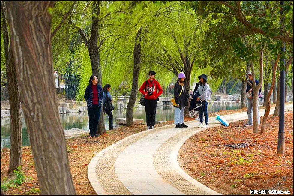 【春天，广西桂林灌阳县向您发出邀请！】江口老街又逢春 - 游山玩水 - 荷泽生活社区 - 荷泽28生活网 heze.28life.net