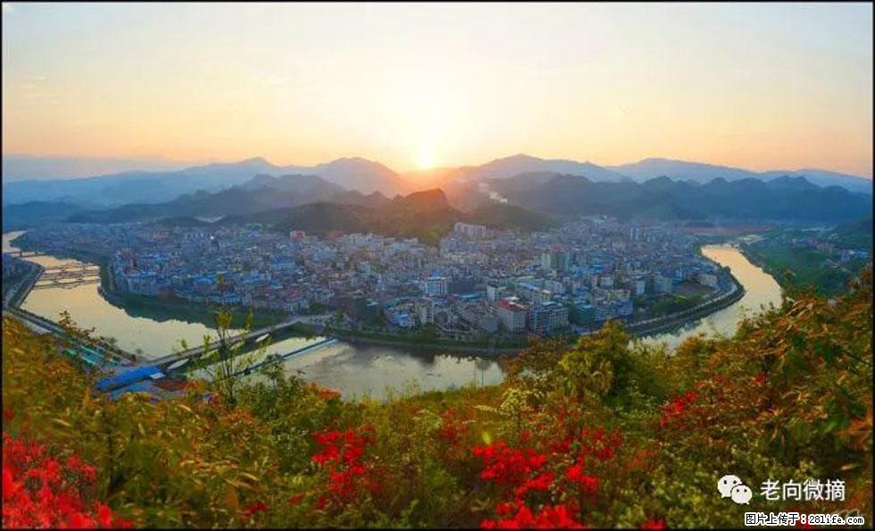【春天，广西桂林灌阳县向您发出邀请！】登麒麟山，相约映山红 - 游山玩水 - 荷泽生活社区 - 荷泽28生活网 heze.28life.net