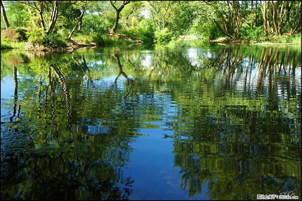 【春天，广西桂林灌阳县向您发出邀请！】熊家寨湿地公园 - 游山玩水 - 荷泽生活社区 - 荷泽28生活网 heze.28life.net