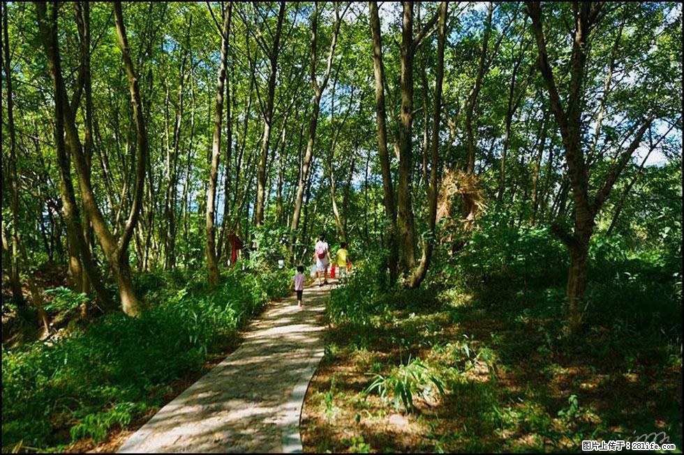 【春天，广西桂林灌阳县向您发出邀请！】熊家寨湿地公园 - 游山玩水 - 荷泽生活社区 - 荷泽28生活网 heze.28life.net