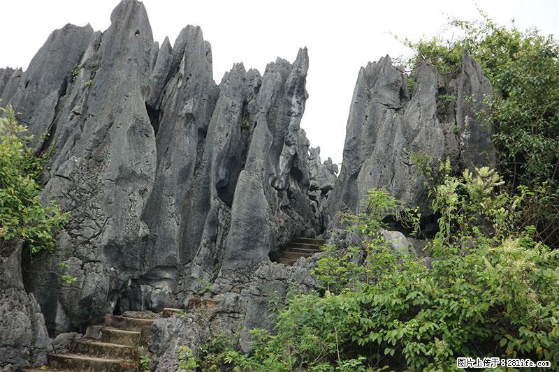 桂林旅游名城景点：灌阳文市石林 - 游山玩水 - 荷泽生活社区 - 荷泽28生活网 heze.28life.net