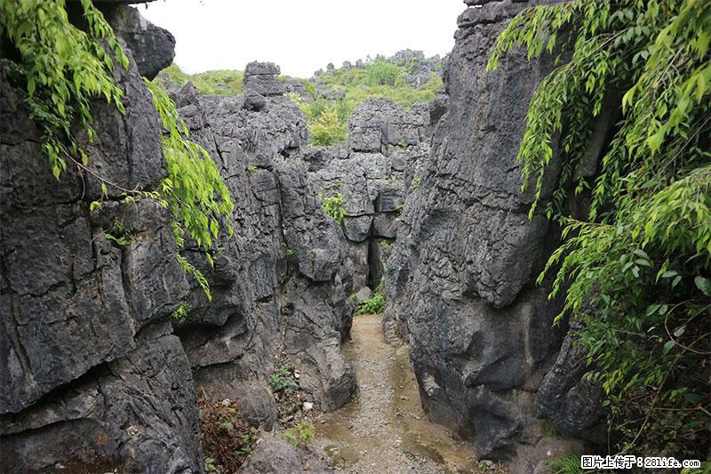 桂林旅游名城景点：灌阳文市石林 - 游山玩水 - 荷泽生活社区 - 荷泽28生活网 heze.28life.net