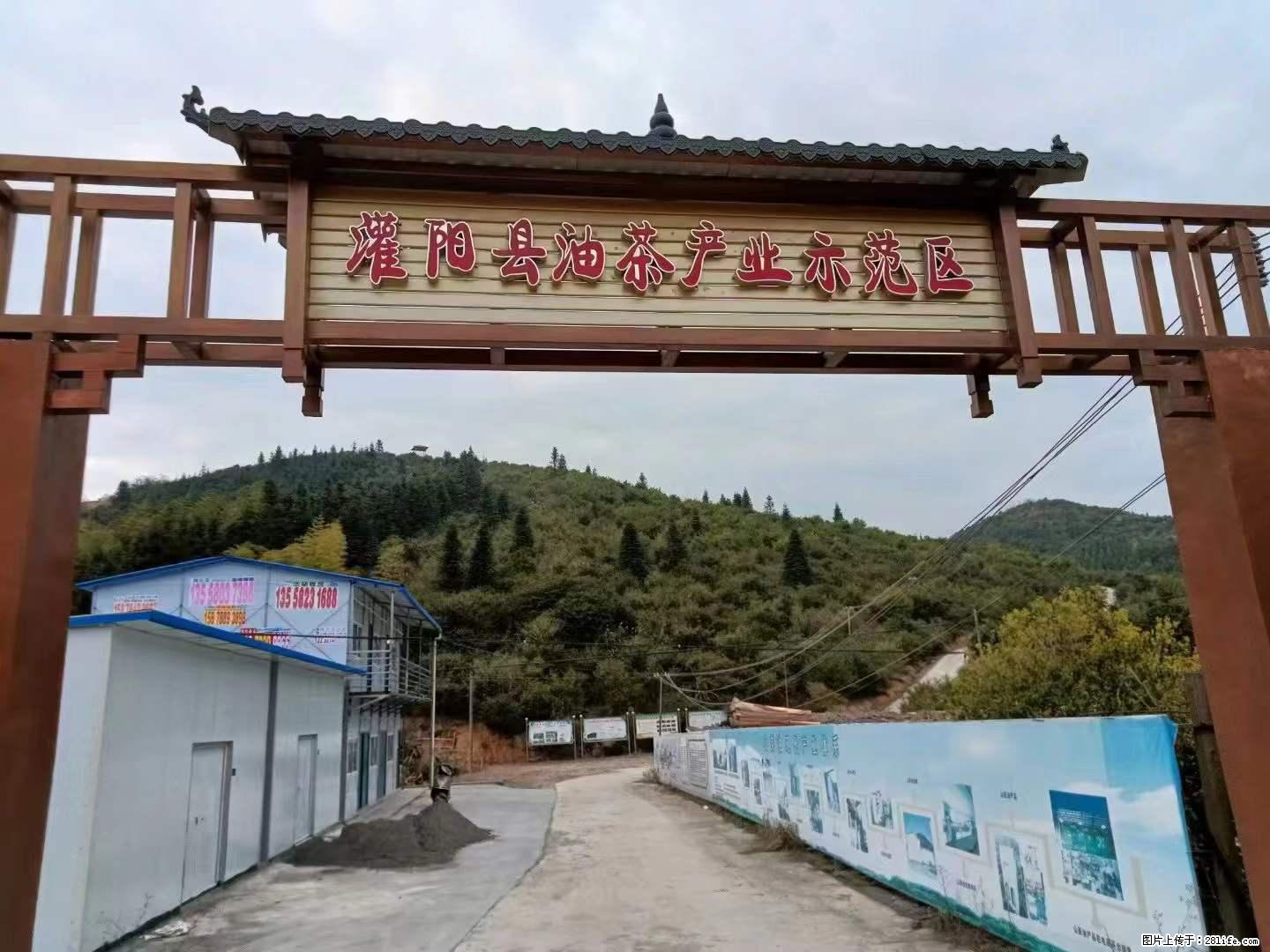 【灌阳县油茶产业示范区】一个有着充实的精神生活的人，对待身外之物自会有一种淡泊的态度 - 美食天地 - 荷泽生活社区 - 荷泽28生活网 heze.28life.net