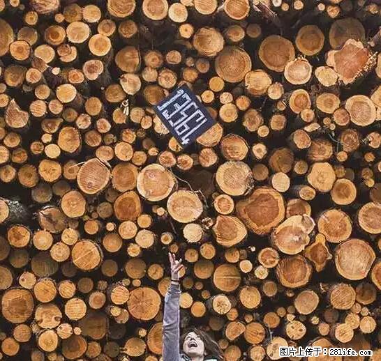 辞掉工作周游世界？现在他们在洗厕所…… - 游山玩水 - 荷泽生活社区 - 荷泽28生活网 heze.28life.net
