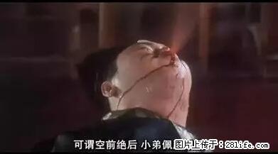 笑癫了！一女的怀孕三年未生，他终于忍不住了... - 娱乐八卦 - 荷泽生活社区 - 荷泽28生活网 heze.28life.net