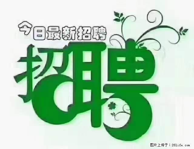 【招聘摄像师】待遇：试用期6000元/月，转正7000元/月+五险一金+餐补+节日福利+奖金 - 其他招聘信息 - 招聘求职 - 荷泽分类信息 - 荷泽28生活网 heze.28life.net