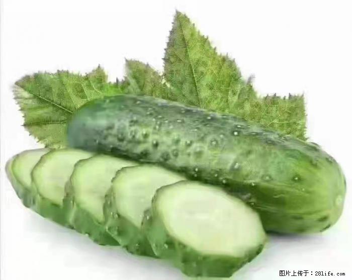 【生活小常识】吃黄瓜的好处 - 生活百科 - 荷泽生活社区 - 荷泽28生活网 heze.28life.net