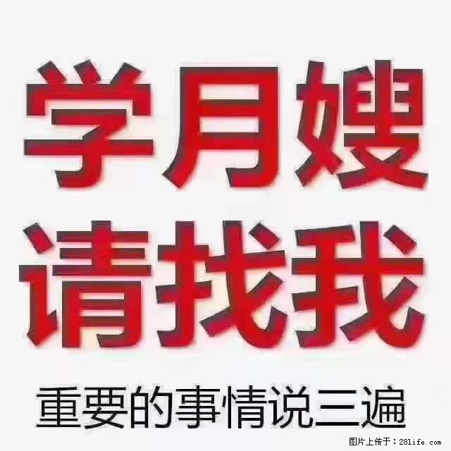 【招聘】月嫂，上海徐汇区 - 职场交流 - 荷泽生活社区 - 荷泽28生活网 heze.28life.net