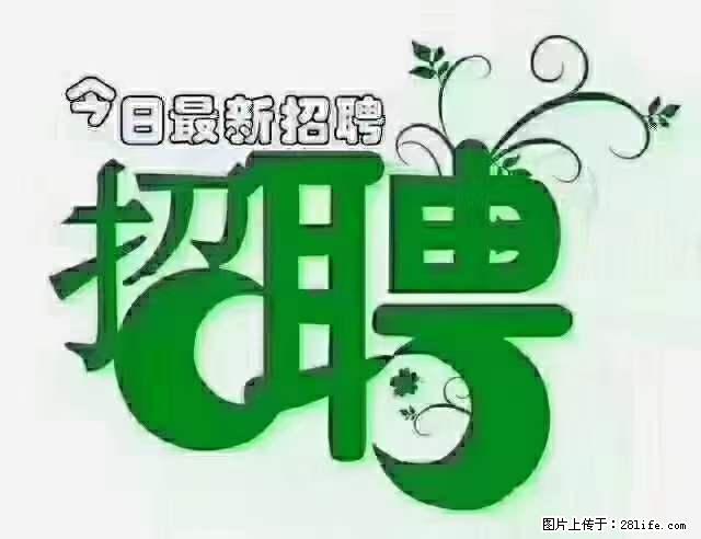 急聘!急聘!上海酒店长期前台,做六休一,每天8小时,6000块钱一月 - 职场交流 - 荷泽生活社区 - 荷泽28生活网 heze.28life.net