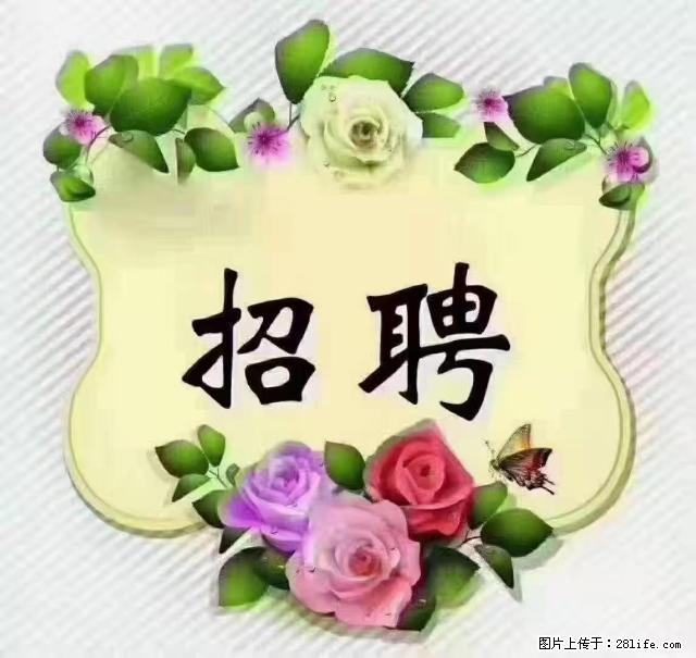 【招聘】住家育儿嫂，上户日期：4月4日，工作地址：上海 黄浦区 - 职场交流 - 荷泽生活社区 - 荷泽28生活网 heze.28life.net