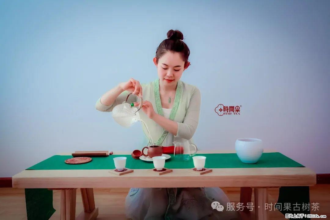 时间果百年古树龙珠普洱生茶 - 购物交流 - 荷泽生活社区 - 荷泽28生活网 heze.28life.net