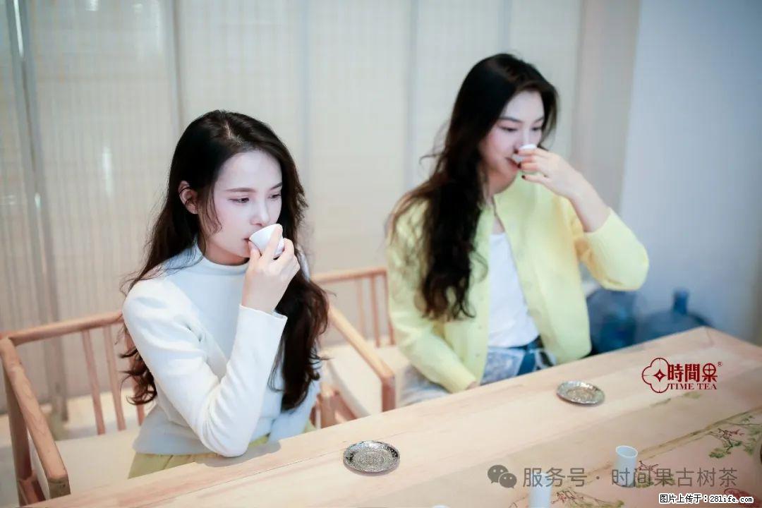 时间果百年古树龙珠普洱生茶 - 购物交流 - 荷泽生活社区 - 荷泽28生活网 heze.28life.net