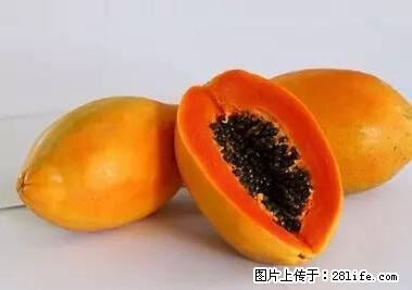 晕车、脚气、牙齿变黄、皮肤粗糙？学会这些三分钟搞定！ - 荷泽生活资讯 - 荷泽28生活网 heze.28life.net