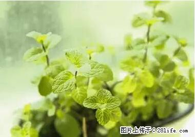 晕车、脚气、牙齿变黄、皮肤粗糙？学会这些三分钟搞定！ - 荷泽生活资讯 - 荷泽28生活网 heze.28life.net