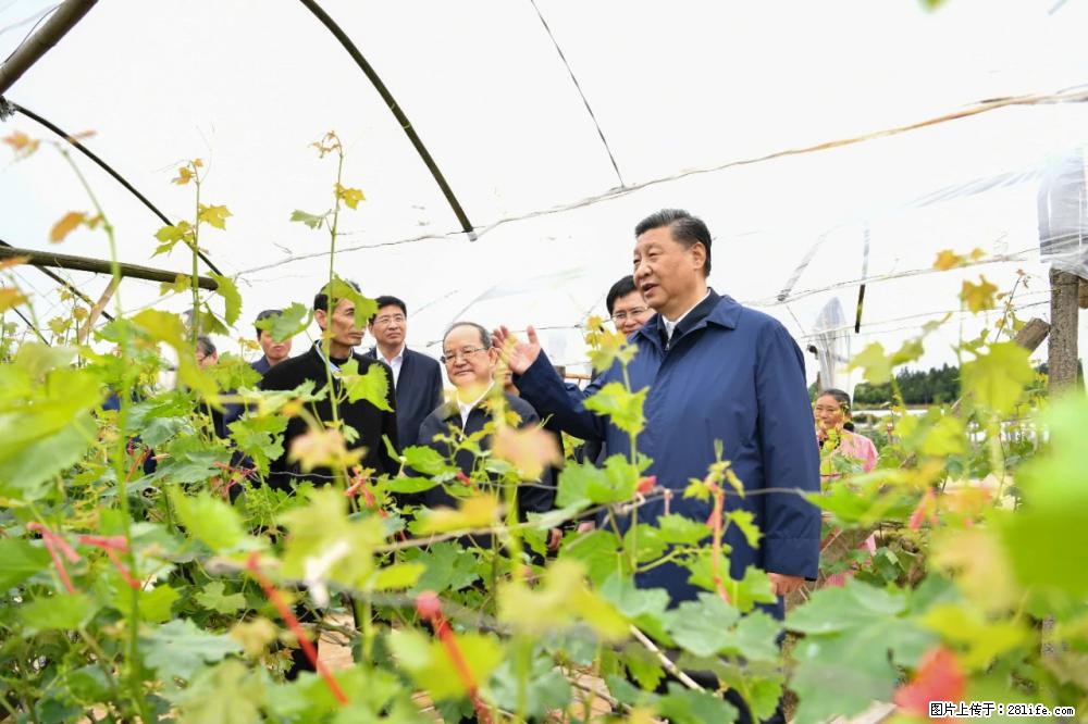 习近平赴广西考察调研 - 荷泽生活资讯 - 荷泽28生活网 heze.28life.net