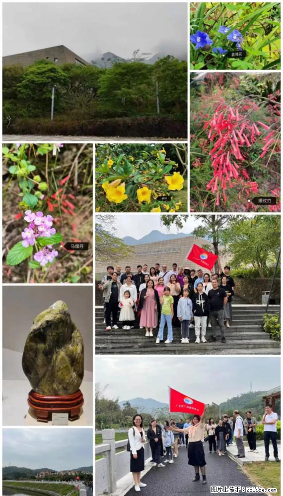 “粤灌文化 美好生活”油茶文化主题活动在广东深圳成功举办 - 荷泽生活资讯 - 荷泽28生活网 heze.28life.net
