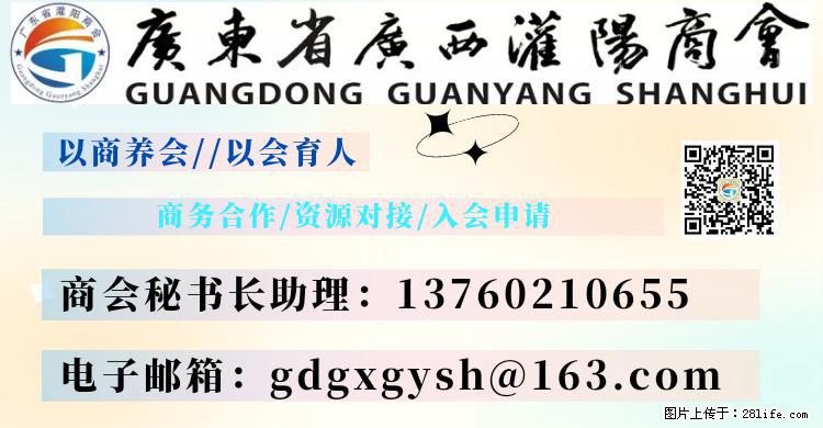 “粤灌文化 美好生活”油茶文化主题活动在广东深圳成功举办 - 荷泽生活资讯 - 荷泽28生活网 heze.28life.net