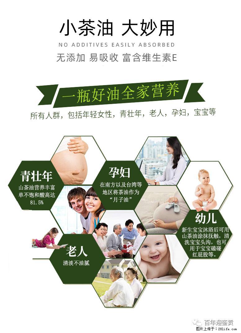 世界没有真相，只有认知，最好的食用油是中国的山茶油！ - 荷泽生活资讯 - 荷泽28生活网 heze.28life.net