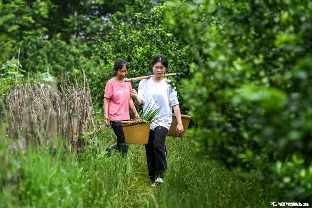 全网追的“扁担女孩”，找了一份暑假工，时薪12元 - 荷泽生活资讯 - 荷泽28生活网 heze.28life.net