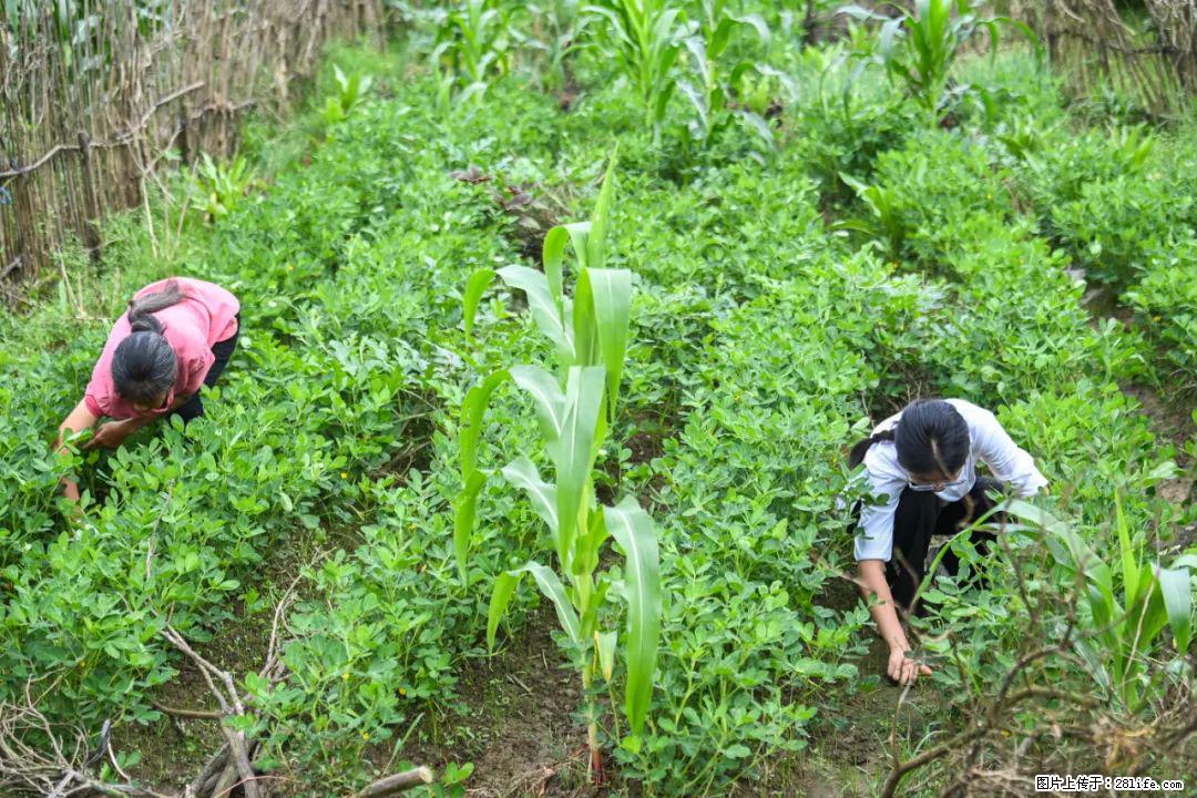 全网追的“扁担女孩”，找了一份暑假工，时薪12元 - 荷泽生活资讯 - 荷泽28生活网 heze.28life.net
