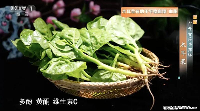 比牛奶补钙还厉害！凉血解毒、稳血糖...这菜冬天必吃，很多人却当草 - 荷泽生活资讯 - 荷泽28生活网 heze.28life.net