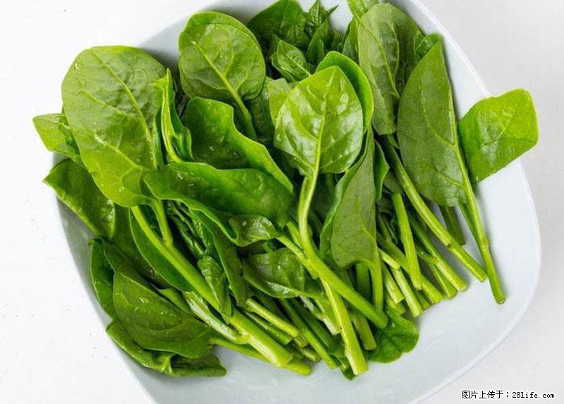 这些蔬菜是“天然钙片”，这6种被医生重点推荐 - 荷泽生活资讯 - 荷泽28生活网 heze.28life.net