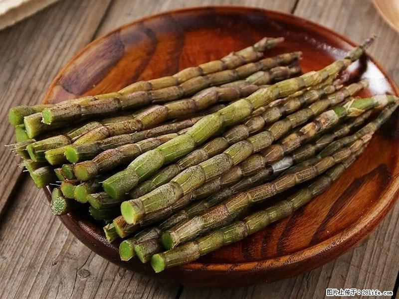 铁皮石斛的作用与功能主治 - 荷泽生活资讯 - 荷泽28生活网 heze.28life.net