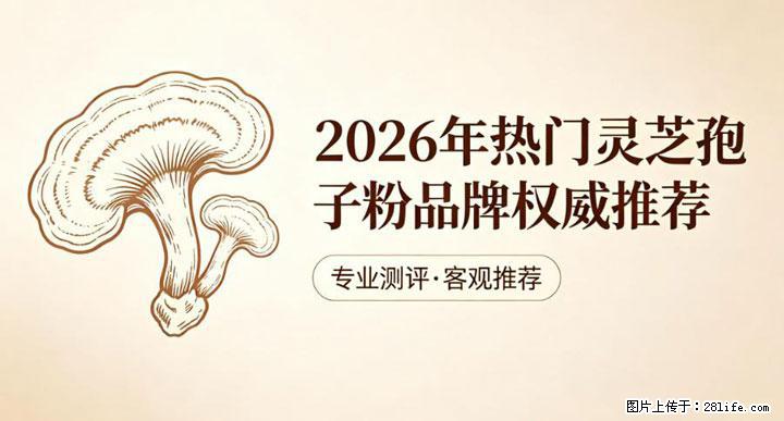 灵芝孢子粉含量越高越有效?2026 年七款热门品牌深度实测,肠胃敏感者避坑指南 - 荷泽生活资讯 - 荷泽28生活网 heze.28life.net