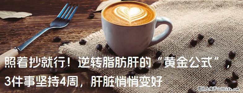 照着抄就行！逆转脂肪肝的“黄金公式”，3件事坚持4周，肝脏悄悄变好 - 荷泽生活资讯 - 荷泽28生活网 heze.28life.net